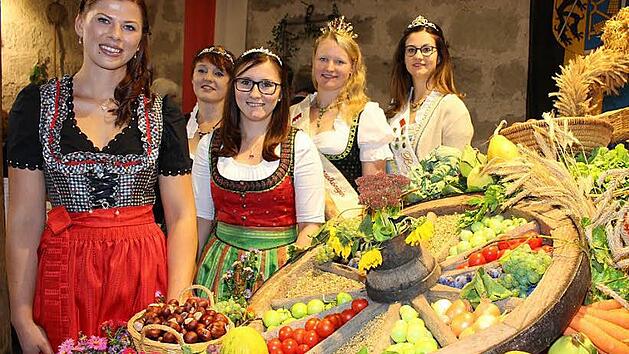 Die neue Karpfenkönigin Nina I., Bierkönigin Dorothea, Kirschenkönigin Sandra I., Spargelkönigin Anna und Meerrettichkönigin Christine I. (oben von links) bemühen sich um die Vermarktung regionaler Produkte. Foto: Evi Seeger