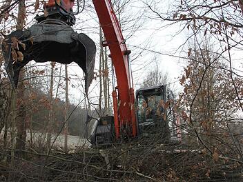 Freischnitt mit schwerem Gerät: Auf der Strecke zwischen Wernarz und Rupboden fallen Äste. Foto: Ulrike Müller