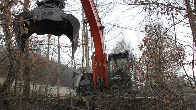 Freischnitt mit schwerem Gerät: Auf der Strecke zwischen Wernarz und Rupboden fallen Äste. Foto: Ulrike Müller