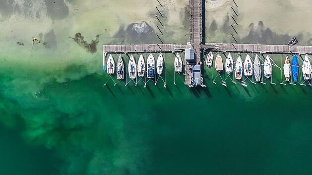 Sp&auml;tsommer am Bodensee - Trockenheit