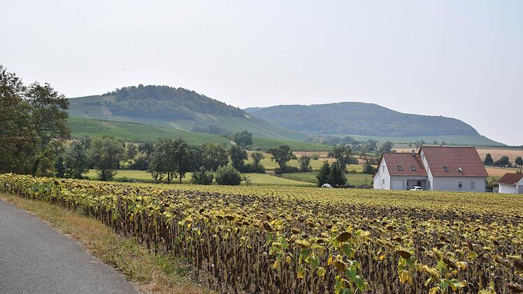 Blick auf Tannenberg (links) und Bullenheimer Berg (rechts hinten) Foto: Ronald Rinklef