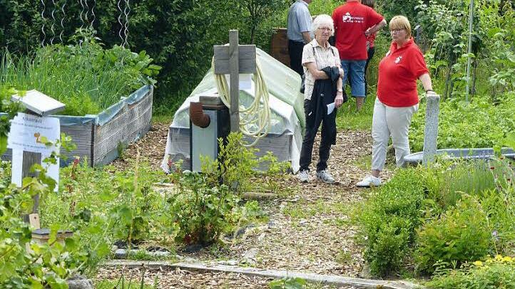 Im Garten des Vereins kann man sich Anregungen für zu Hause holen. Foto: Pauline Lindner
