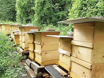 Bienenstöcke von Hobbyimkern. Foto: Archiv/Arkadius Guzy