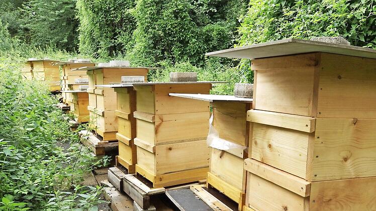 Bienenstöcke von Hobbyimkern. Foto: Archiv/Arkadius Guzy