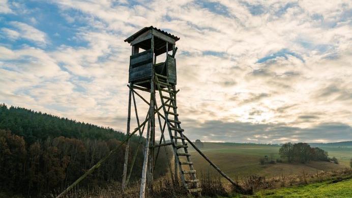 Unbekannte haben zwei J&auml;gerhochsitze im Kreis Forchheim gesprengt. Die Polizei sucht jetzt nach Zeugen. Symbolfoto: pixabay.com