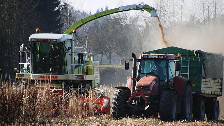Geerntet wird mit einem gängigen Maishäcksler.