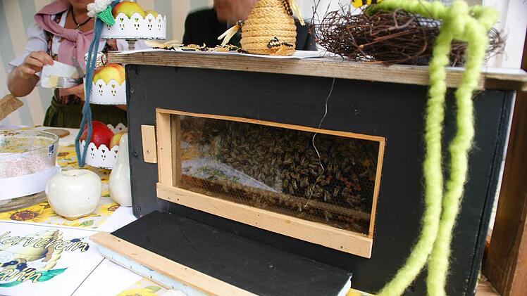 Den Blick in einen Bienenstock gewährte der Imkerverein Eltmann, der Honig verkaufte und Werbung für dieses schöne Hobby machte.
