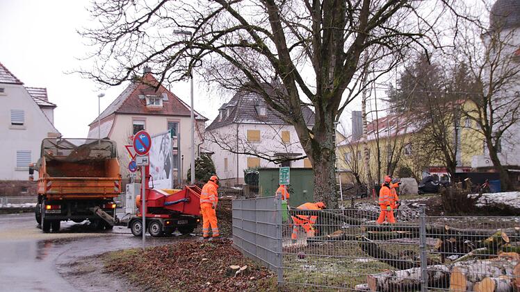 Mitarbeiter des Staatlichen Bauamtes fällen Bäume auf dem Bolzplatz an der Garitzer Kreuzung. Die Arbeiten sind Vorbereitungen für den Garitzer Kreisel. Foto: Benedikt Borst