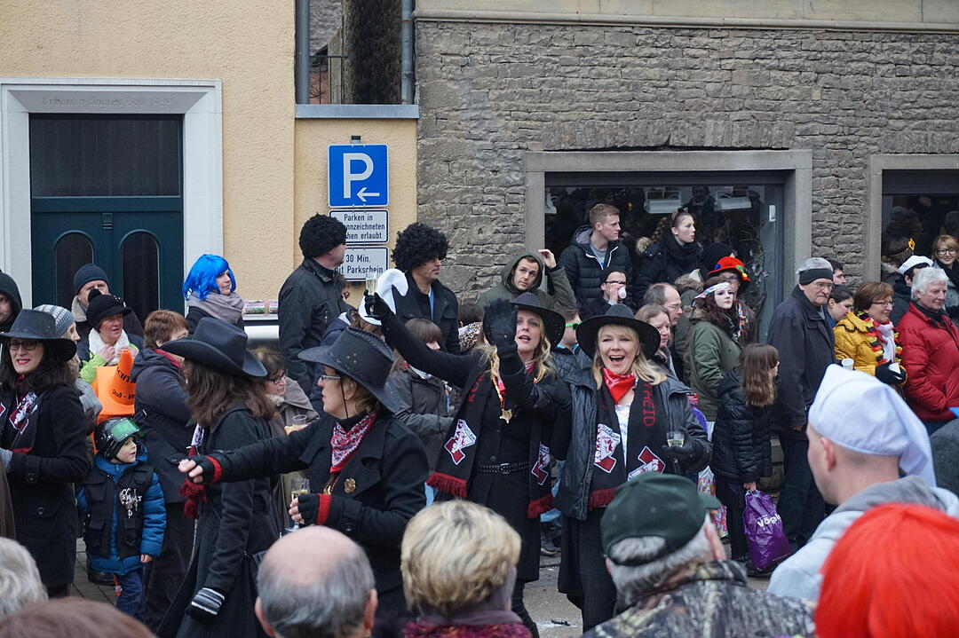 Landkreisfaschingszug 2015