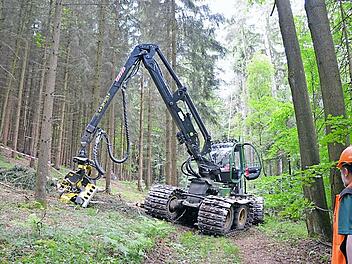 Mit einem Harvester wird zurzeit am Bausenberg Holz geerntet. Die breiten Kettenbänder, die über die Räder gezogen werden, sollen den Boden dabei schützen. Foto: Rainer Lutz