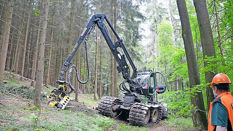 Mit einem Harvester wird zurzeit am Bausenberg Holz geerntet. Die breiten Kettenbänder, die über die Räder gezogen werden, sollen den Boden dabei schützen. Foto: Rainer Lutz