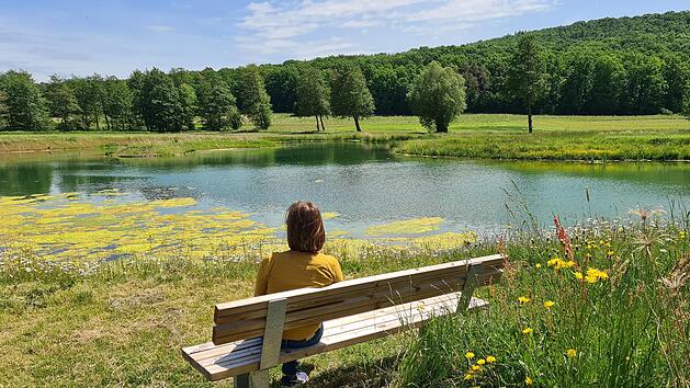 Ruhepl&auml;tze an beschaulichen Pl&auml;tzen laden zum Verweilen ein, wie hier am Ritterweg im Randsbachgrund. Foto: Hans Beudert
