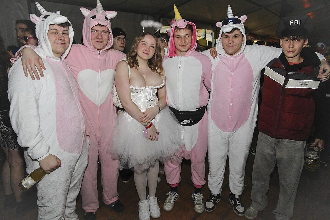 Super Stimmung beim Meeder Zeltfasching 2025!