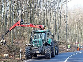 Um rund zwei Meter wurde der Bewuchs an der B 287 zwischen Nüdlingen und Waldschlösschen zurückgenommen. Fotos: Heike Beudert