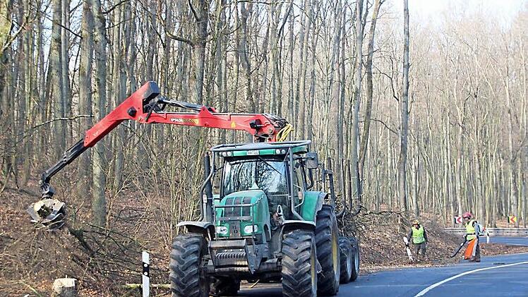 Um rund zwei Meter wurde der Bewuchs an der B 287 zwischen Nüdlingen und Waldschlösschen zurückgenommen. Fotos: Heike Beudert