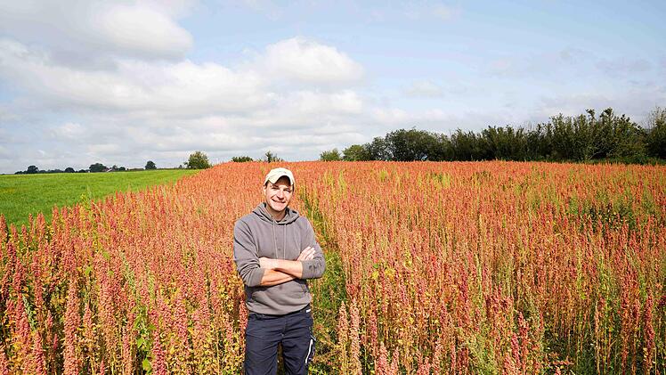 Zu den Sonderfrüchten des Bio-Landwirts Martin Baumgärtner gehört auch das südamerikanische Quinoa.