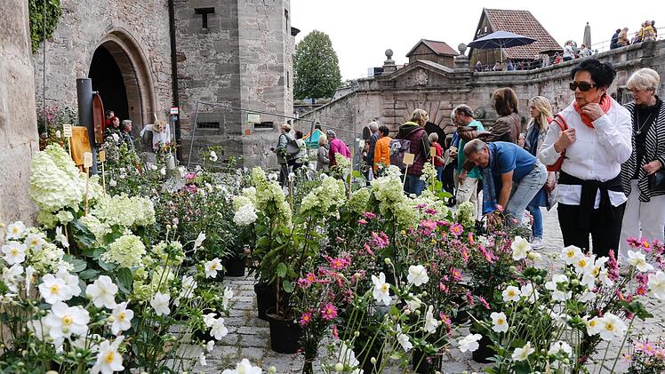 Die Rosenmesse lockte viele Besucher auf die Festung. Foto: Matthias Hoch