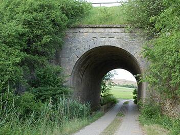 Ein Tunnel an der ehemaligen Werrabahn-Strecke. Die Trasse durch das Lautertal ist immer wieder Thema im Gemeinderat. Foto: CT-Archiv