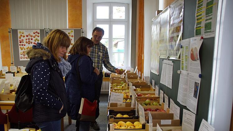 Die ganze Vielfalt fränkischer Streuobstwiesen präsentierte der Pomologen-Verein beim Tag der offenen Tür im UBIZ in Oberschleichach.Sabine Weinbeer
