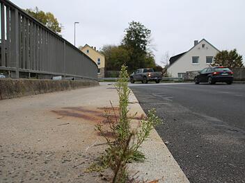 Vor einigen Wochen wuchsen noch Gräser aus einer Spalte zwischen Bordstein und Gehsteig auf der Zentbrücke. Thomas Malz