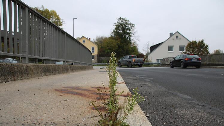 Vor einigen Wochen wuchsen noch Gräser aus einer Spalte zwischen Bordstein und Gehsteig auf der Zentbrücke. Thomas Malz