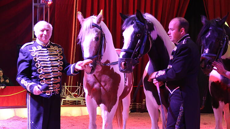 Elpersdorf bei Ansbach: Circus Henry kommt - mit neuem Showkonzept