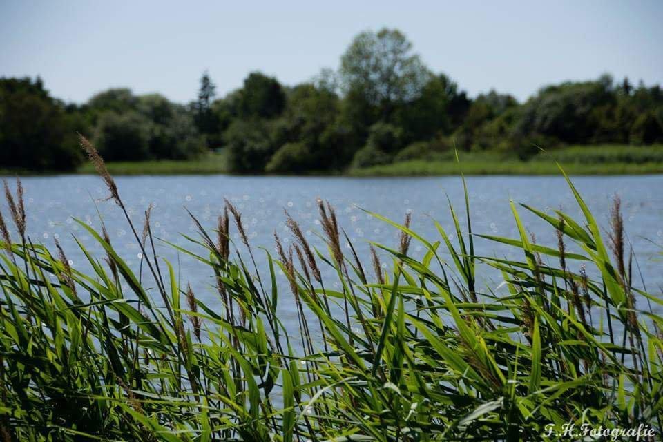 Schloss Seehof. Foto: klaanaweissa