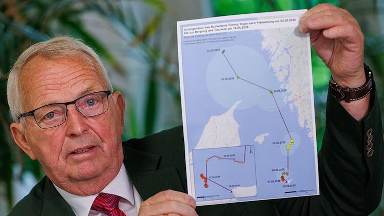 Buckelwal lebte nach Freisetzung nur noch maximal f&uuml;nf Tage
