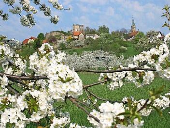 Altenstein mit Ruine und Burgeninformationszentrum ist ein Aushängeschild in Sachen Fremdenverkehr im Landkreis Haßberge. Archivfoto: Eckehard Kieswetter