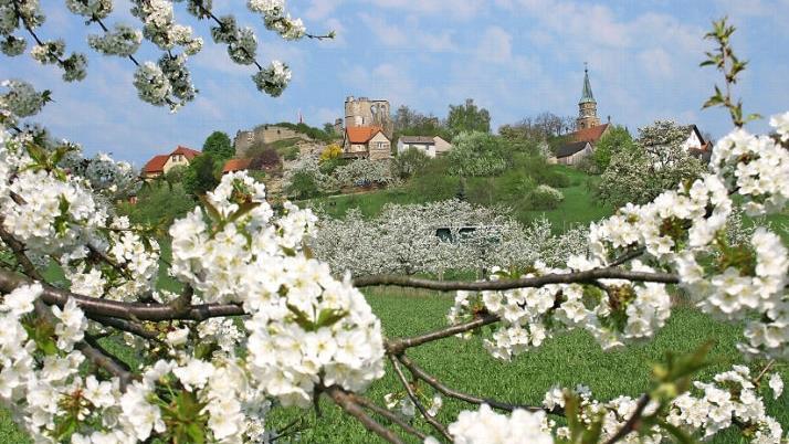Altenstein mit Ruine und Burgeninformationszentrum ist ein Aushängeschild in Sachen Fremdenverkehr im Landkreis Haßberge. Archivfoto: Eckehard Kieswetter