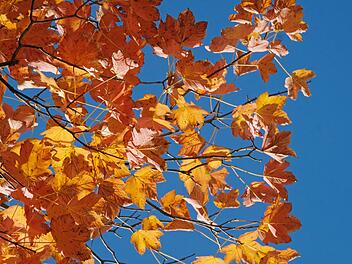 Wetter in Franken: Fast schon T-Shirt-Stimmung - Wie lange kann sich das sonnige Herbst-Wetter halten?