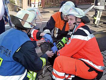 Personen kamen körperlich nicht zu Schaden, ein Hund wurde aus der Einliegerwohnung von den Hilfskräften geborgen und von Sanitätern und Feuerwehrangehörigen versorgt. Fotos: Peter Rauch
