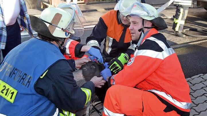 Personen kamen körperlich nicht zu Schaden, ein Hund wurde aus der Einliegerwohnung von den Hilfskräften geborgen und von Sanitätern und Feuerwehrangehörigen versorgt. Fotos: Peter Rauch