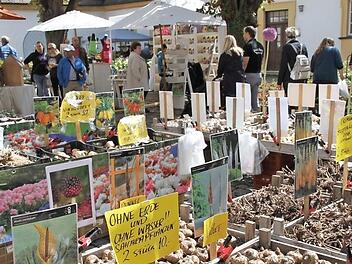 Auf Schloss Bammersdorf gab es für Gartenfreunde viel zu sehen.  Foto: Mathias Errlwein