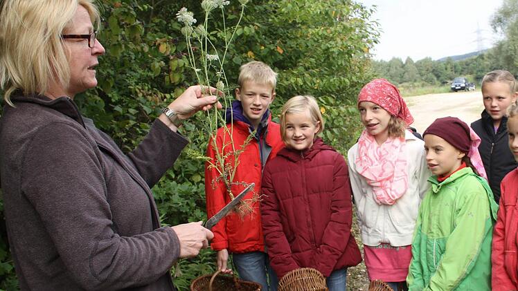 Karin Braun (links) zeigt den Teilnehmern der Kräuterwanderung eine Wildmöhre. Foto: Gerda Völk