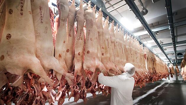 Vegetarier, Veganer - alternative Ess- und Lebensgewohnheiten sind f&uuml;r viele ein rotes Tuch. Dabei ist das meist nur die Angst vor der Selbsterkenntnis.  Foto: Bernd Thissen/dpa