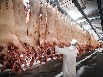 Vegetarier, Veganer - alternative Ess- und Lebensgewohnheiten sind für viele ein rotes Tuch. Dabei ist das meist nur die Angst vor der Selbsterkenntnis.  Foto: Bernd Thissen/dpa