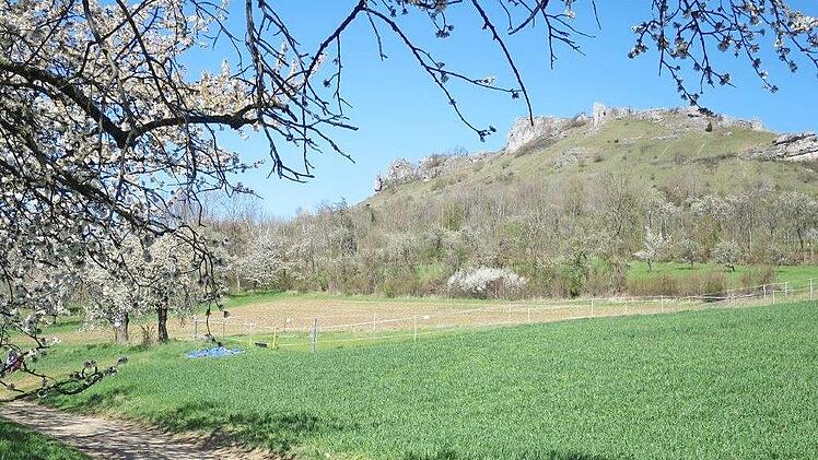 Hier am Walberla soll der Skulpturenweg entstehen.