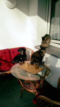 Foto: Melanie Hennlein