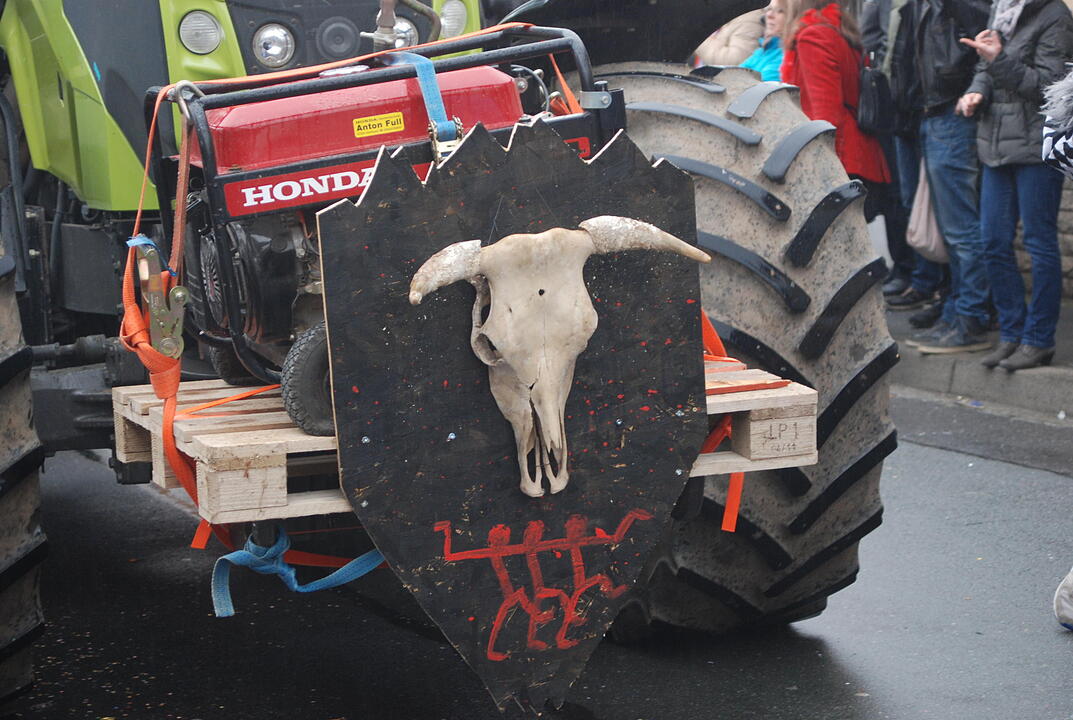 Landkreisfaschingsumzug