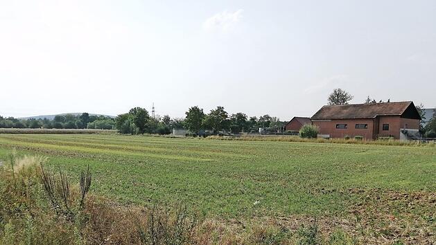 Auf dieser Wiese neben der Strullendorfer Kläranlage sollte die Anlage zur Klärschlammtrocknung errichtet werden. Foto: Andrea Spörlein/Archiv