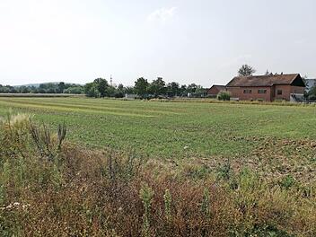 Auf dieser Wiese neben der Strullendorfer Kläranlage sollte die Anlage zur Klärschlammtrocknung errichtet werden. Foto: Andrea Spörlein/Archiv