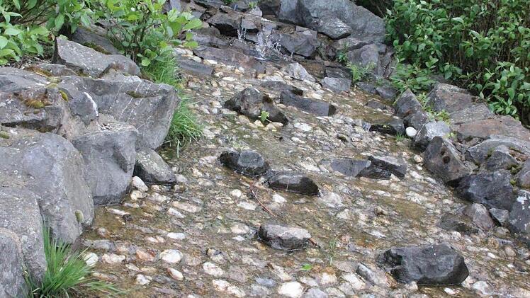 Über diesen künstlichen Bachlauf fließt das Wasser ins Regenerationsbecken.  Foto: Friedwald Schedel