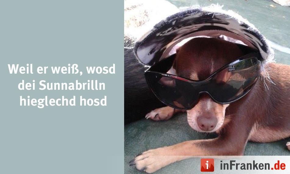 Foto: Margot Zebunke
