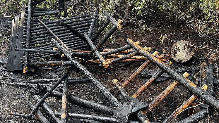 Strullendorf: Waldbrand im Landkreis Bamberg - "Wären nicht zurechtgekommen"