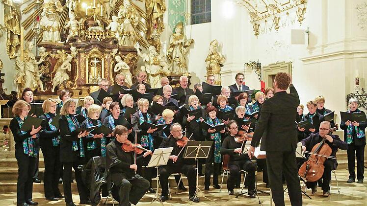 Der Chor des Liedervereins bei seinem Auftritt in der Gößweinsteiner BasilikaFoto: Neubauer