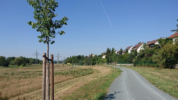 Entlang der Wege wurde gemäht. Die Wildpflanzen weiter unten durften länger stehen bleiben.Foto: Wasserwirtschaftsamt