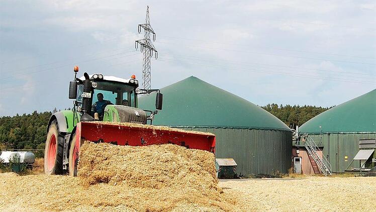 Nach dem Abladen der Mais-Häckselmasse verdichten Schlepper den Haufen zur späteren Lagerung. Foto: Sigismund von Dobschütz