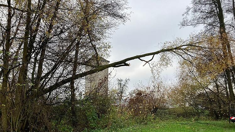 Baum stürzt auf Leitung