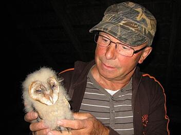 Günther Eichler hat eine junge Schleuereule im Arm. Fotos: privat